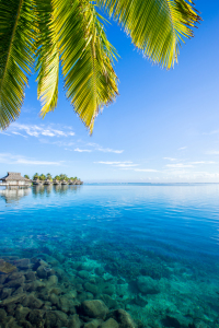 Bild-Nr: 11759582 Traumurlaub auf einer Insel Erstellt von: eyetronic