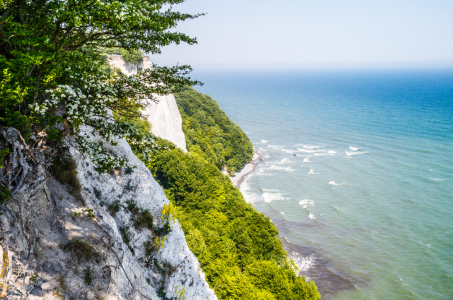 Bild-Nr: 11762316 Rügen Kreidefelsen Erstellt von: Ursula Reins