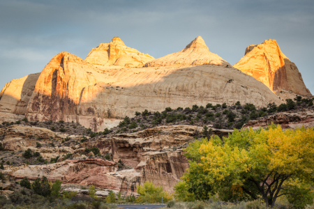 Bild-Nr: 11762868 Capitol Reef National Park Erstellt von: TomKli