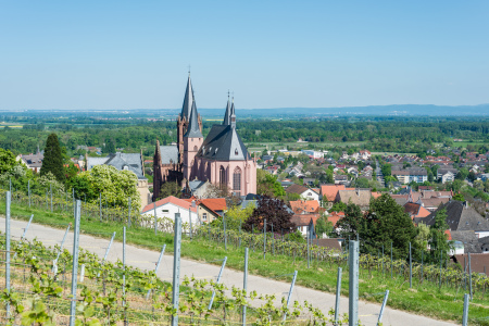 Bild-Nr: 11763756 Oppenheim -Katharinenkirche 63 Erstellt von: Erhard Hess