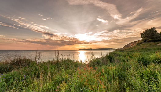 Bild-Nr: 11763978 Sommertraum Rügen Erstellt von: Nordbilder