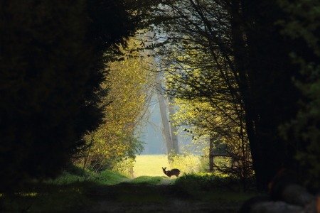 Bild-Nr: 11764686 Lichtblick Erstellt von: Uwe Fuchs