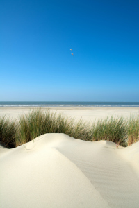 Bild-Nr: 11766380 unberührte Dünenlandschaft Erstellt von: Susanne Herppich