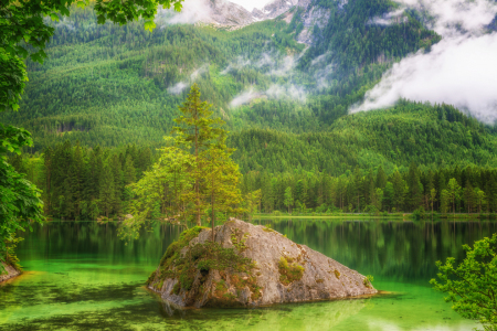 Bild-Nr: 11769692 Hintersee und Zauberwald Erstellt von: Thomas Herzog