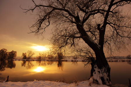 Bild-Nr: 11771582 Sonnenuntergang an der Havel Erstellt von: AFrostFotografie