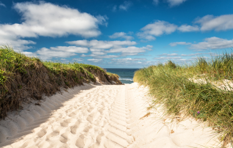 Bild-Nr: 11773316 Sylter Strandweg Erstellt von: Nordbilder