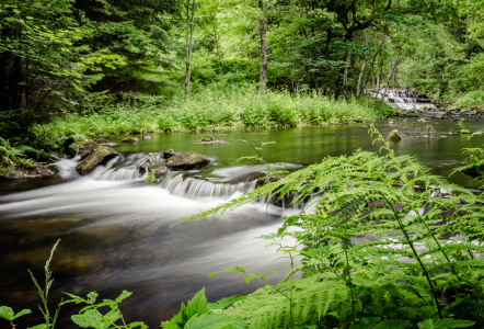 Bild-Nr: 11775990 Am Fluss Erstellt von: Steffen Henze