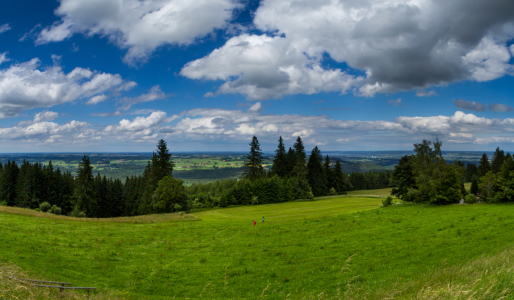 Bild-Nr: 11778700 Sommer in Oberbayern Erstellt von: Dimo Tabken