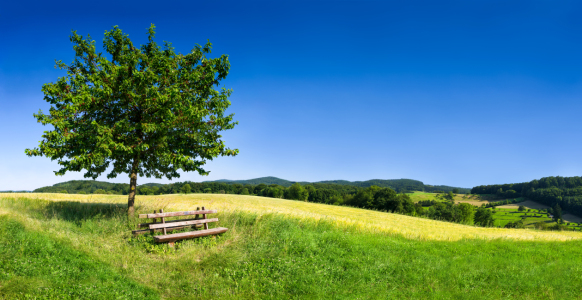 Bild-Nr: 11779514 Grüne Landschaft im Sommer Erstellt von: eyetronic