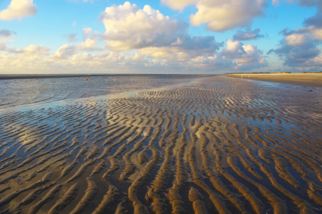 Bild-Nr: 11784084 Abends am Strand - Insel Amrum Erstellt von: Angela  Dölling