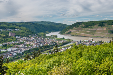 Bild-Nr: 11784164 Bingen vom Rochusbergturm 9 Erstellt von: Erhard Hess