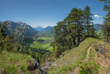 Bild-Nr: 11786538 Wanderweg am Heldenkreuz Erstellt von: SusaZoom