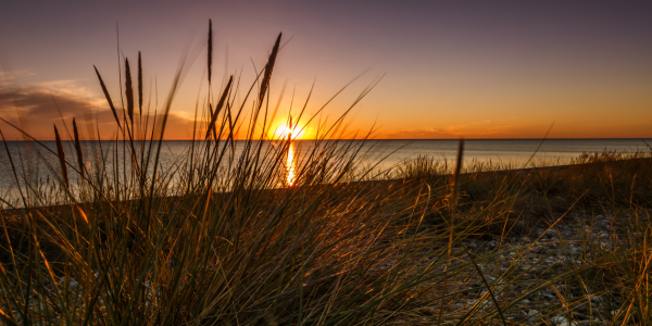 Bild-Nr: 11786690 Sommerabend an der Ostsee Erstellt von: Ursula Reins