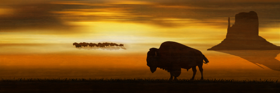 Bild-Nr: 11788598 Der einsame Bison in der Prärie - Panorama Erstellt von: Mausopardia