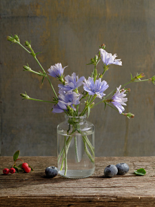 Bild-Nr: 11791474 Blue Morning Erstellt von: Rolf Eschbach