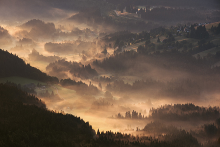 Bild-Nr: 11791516 Schwarzwald im Licht und Nebel Erstellt von: Andreas Schott