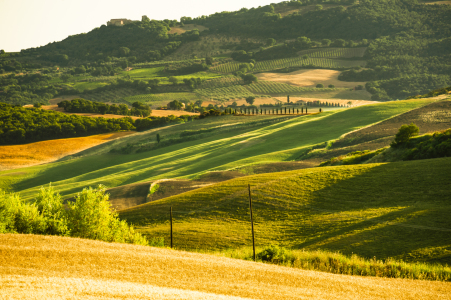 Bild-Nr: 11792592 Crete Senesi Erstellt von: KundenNr-160338