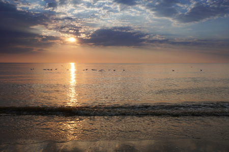 Bild-Nr: 11798784 Katwijk Sonnenuntergang Erstellt von: MarioZwiers