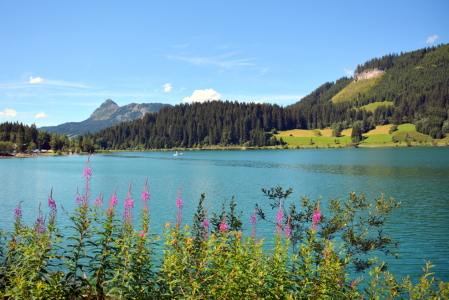 Bild-Nr: 11798822 Haldensee Erstellt von: GUGIGEI