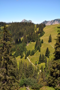 Bild-Nr: 11799452 Wanderweg Erstellt von: GUGIGEI