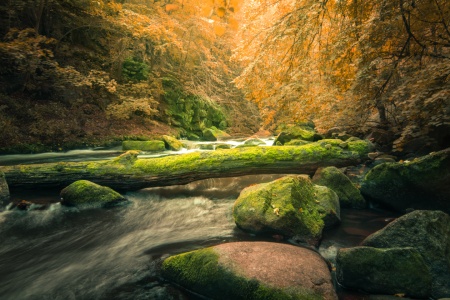 Bild-Nr: 11800426 Mystisches Bodetal Erstellt von: sh-picture