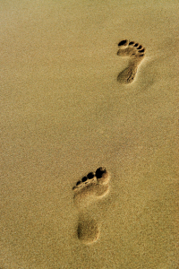 Bild-Nr: 11801422 Spuren im Sand Erstellt von: DjuraPhotography