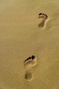 Bild-Nr: 11801422 Spuren im Sand Erstellt von: DjuraPhotography