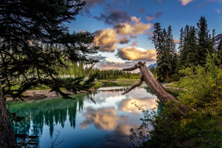 Bild-Nr: 11801802 Bow River Sunrise 2 Erstellt von: Thomas Gerber