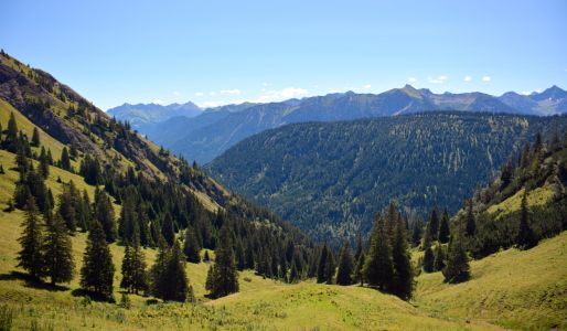 Bild-Nr: 11802714 Tannheimer Tal Erstellt von: GUGIGEI