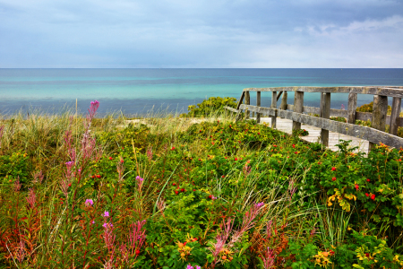 Bild-Nr: 11803482 Zum Ostseestrand Erstellt von: Gisela Scheffbuch