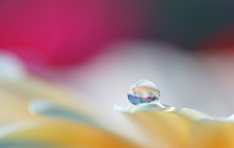 Bild-Nr: 11806028 World of drops Erstellt von: youhaveadream