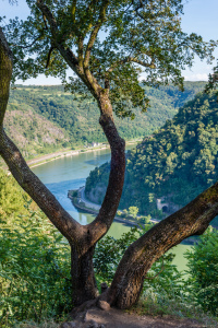 Bild-Nr: 11807658 Loreleypanorama 82 Erstellt von: Erhard Hess