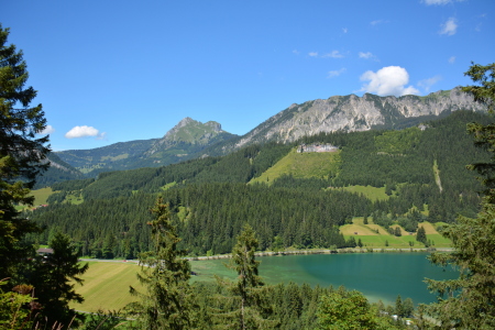 Bild-Nr: 11807764 Haldensee Erstellt von: GUGIGEI