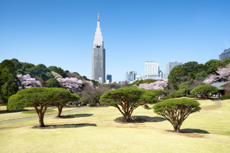 Bild-Nr: 11808062 Shinjuku gyoen in Tokio, Japan Erstellt von: eyetronic