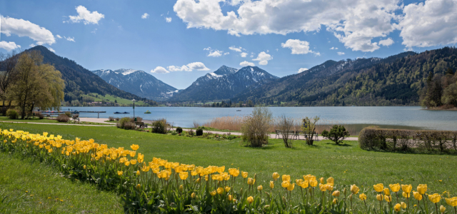 Bild-Nr: 11809610 Schliersee mit Tulpen Erstellt von: SusaZoom