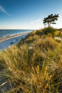 Bild-Nr: 11811748 Ostseeküste ` Schleswig Holstein    Erstellt von: Ursula Reins