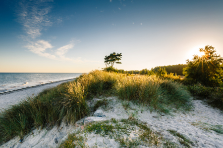 Bild-Nr: 11811752 Sommer` Sonne` Ostseestrand Erstellt von: Ursula Reins