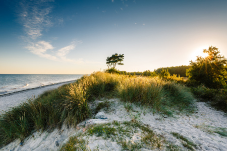 Bild-Nr: 11811752 Sommer` Sonne` Ostseestrand Erstellt von: Ursula Reins