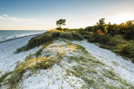 Bild-Nr: 11812620 SOMMER AM MEER Erstellt von: Ursula Reins