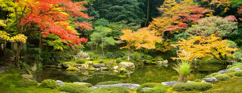 Bild-Nr: 11812824 Japanischer Landschaftsgarten im Herbst Erstellt von: eyetronic