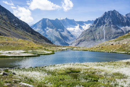 Bild-Nr: 11813334 Märjelensee am Aletsch Erstellt von: IngeborgF