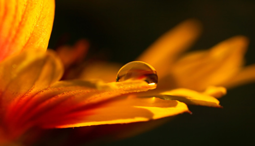 Bild-Nr: 11815465 Gold Erstellt von: youhaveadream