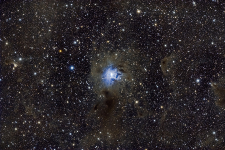 Bild-Nr: 11816149 Iris Nebel NGC 7023 Erstellt von: star-watcher