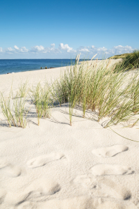 Bild-Nr: 11820843 Sommer auf Sylt Erstellt von: Ursula Reins