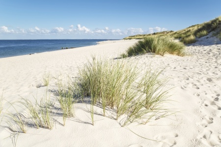 Bild-Nr: 11820857 Sommer auf Sylt   2 Erstellt von: Ursula Reins