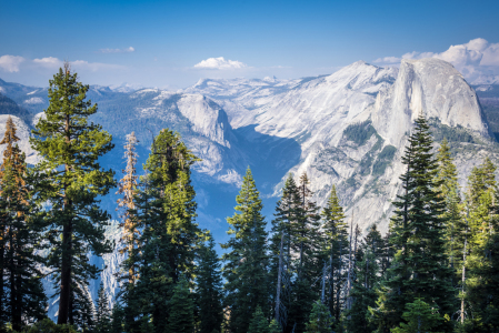 Bild-Nr: 11823043 Yosemite Nationalpark Erstellt von: Florian-Nielsen