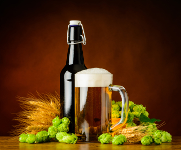 Bild-Nr: 11826079 Bier mit Weizen und Hopfen Erstellt von: xfotostudio