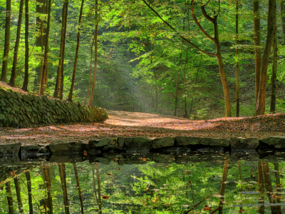 Bild-Nr: 11826845 Teichgrundquelle in der Dresdner Heide Erstellt von: dresdner