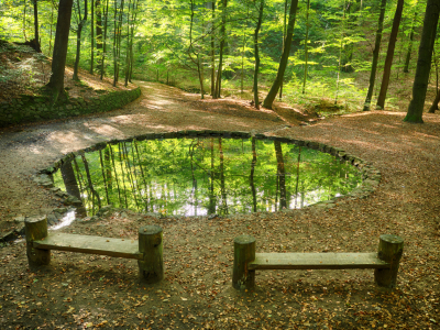 Bild-Nr: 11826873 Teichgrundquelle in der Dresdner Heide Erstellt von: dresdner