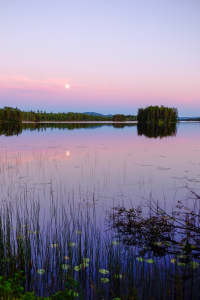 Bild-Nr: 11828205 Mora Moon Erstellt von: ELIO